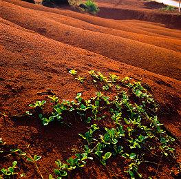 TGA 2023：合作FPS游戏《Den of Wolves》预告